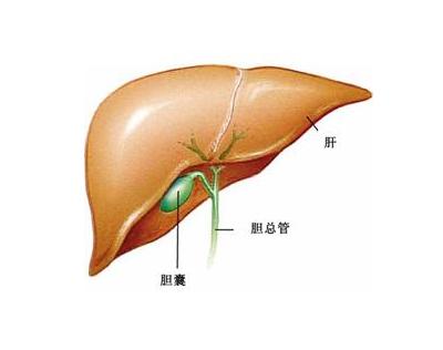 胆囊癌常见的病因有哪些？了解一下